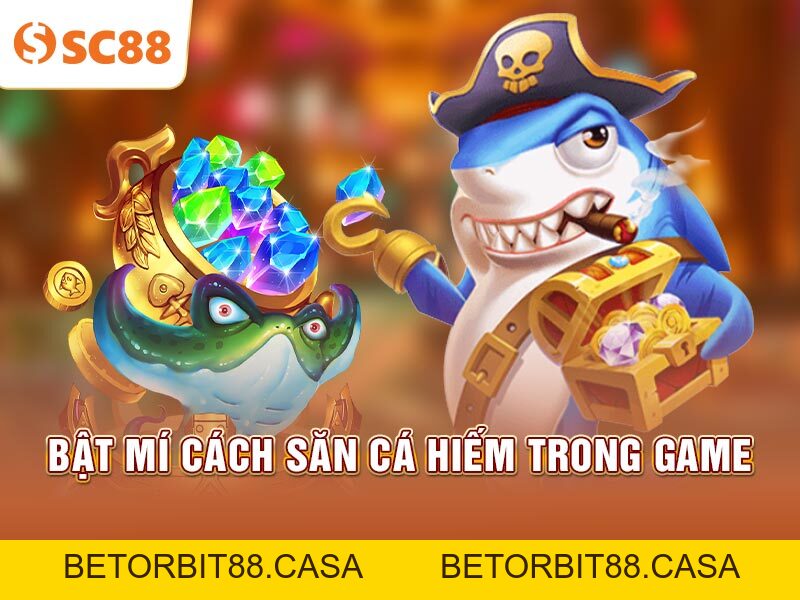 bí quyết săn cá hiếm trong Bắn Cá Kim Cương SC88 - BETORBIT88