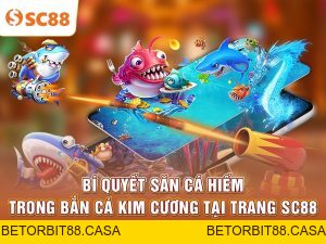 Bắn Cá SC88 | Khám Phá Đại Dương Giải Trí Sống Động - BETORBIT88