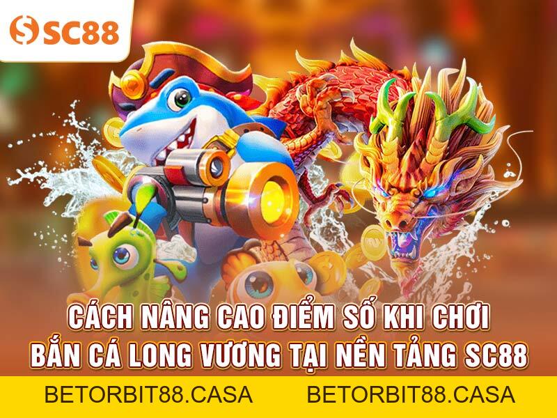 Cách nâng cao điểm số khi chơi Bắn Cá Long Vương 2026 - BETORBIT88