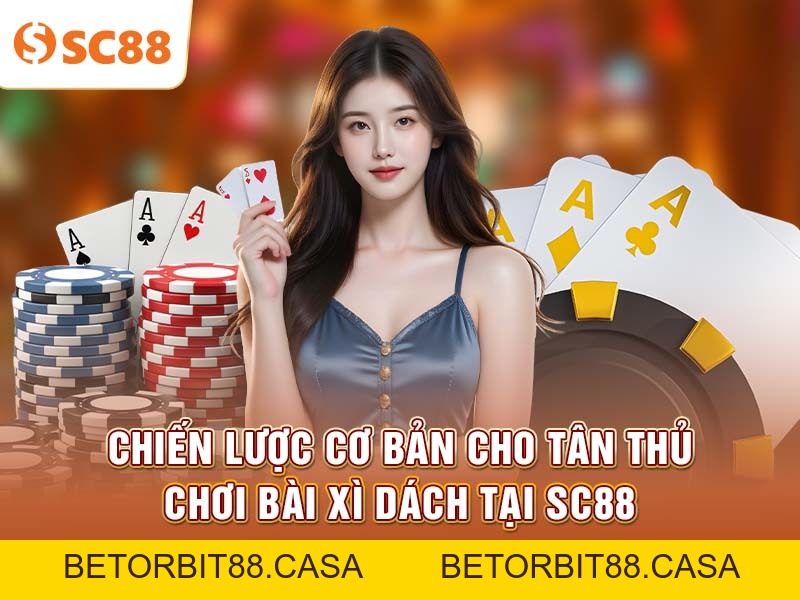 Chiến lược cơ bản cho tân thủ chơi Bài Xì Dách tại SC88 - BETORBIT88