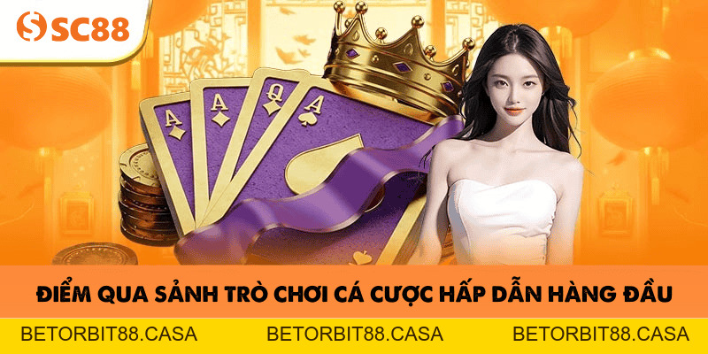 SA Gaming SC88 – Điểm Đến Cho Các Trò Chơi Trực Tuyến Hot - BETORBIT88