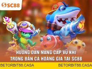 Bắn Cá SC88 | Khám Phá Đại Dương Giải Trí Sống Động - BETORBIT88