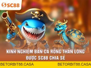 Bắn Cá SC88 | Khám Phá Đại Dương Giải Trí Sống Động - BETORBIT88