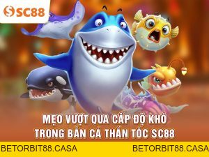 Bắn Cá SC88 | Khám Phá Đại Dương Giải Trí Sống Động - BETORBIT88