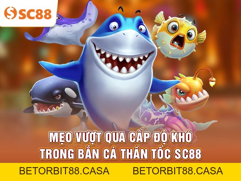 Mẹo Vượt Qua Cấp Độ Khó Trong Bắn Cá Thần Tốc SC88 - BETORBIT88