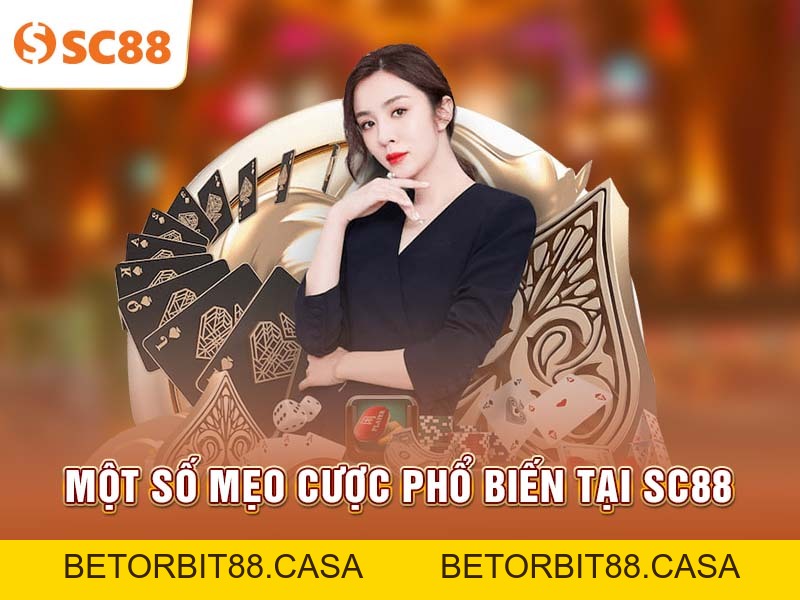 Kinh nghiệm quản lý vốn Casino để duy trì lợi nhuận lâu dài - BETORBIT88