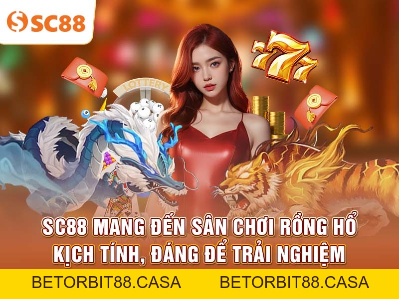 Mẹo chơi bài Rồng Hổ đơn giản với lối đánh một cửa tại SC88 - BETORBIT88