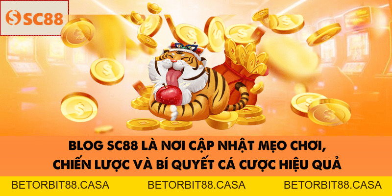 Blog - SC88 - BETORBIT88