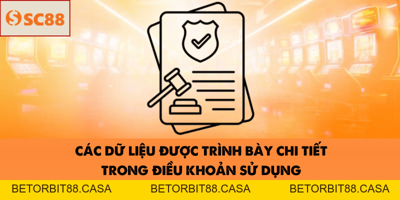 Chính Sách Sử Dụng SC88 – Bảo Vệ Quyền Lợi Người Chơi Tối Đa - BETORBIT88