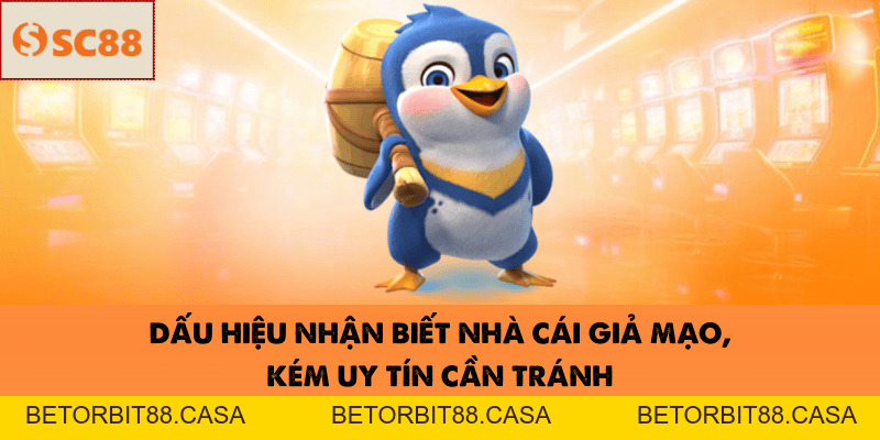 SC88 Có Uy Tín Không? Đánh Giá Chi Tiết Mới Nhất Năm 2026 - BETORBIT88