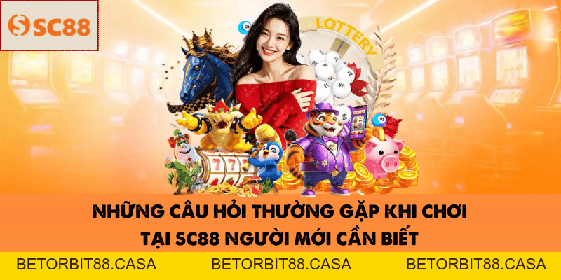 Những Câu Hỏi Thường Gặp Khi Chơi Tại SC88 Người Mới Cần Biết - BETORBIT88